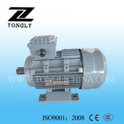 Y2 Series Three-phase Induction Motor