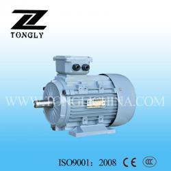 Y2 Series Three-phase Induction Motor