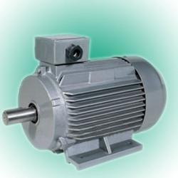 Y2 Three-Phase Induction Motor