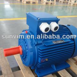 YE2 Series High Efficiency Motor