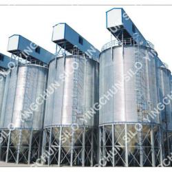 Yingchun 100T silos for Paddy