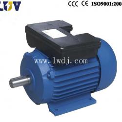 YL Two-value Capacitor Single-phase Motor