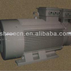 YR3 Series Low-voltage Wound Rotor Motor (IP55)