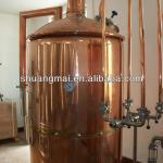 500L/D red copper beer equipment