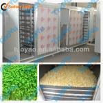 Commerical Bean Sprout Machine (SMS: 0086-15890650503)