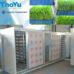 Mung bean sprout/grow machine selling price