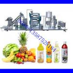 Small Scale Fruit Juice Making Machine (hot sale)