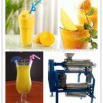 Mango juice processing machine