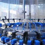 Automatic Bottle Rinsing Machine