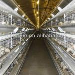 H type layer battery cages
