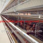 best selling chicken layer cage