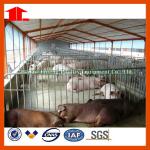 Elevated Farrowing Crate pig crate