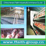 low cost chicken chicken special cage 008613938486709