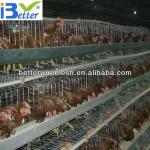 New Design BT factory A-96 egg laying chicken house(Welcome to Visit my factory)