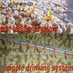 hot sale automatic pan feeding system for chicken and poultry