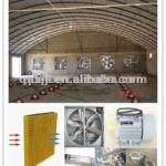 automatic layer poultry equipment