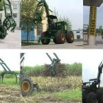 Sugarcane loader