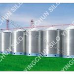 Yingchun 3000T silo for soybean