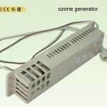 Ozone Generator