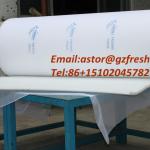 Dust holding media filter/media filter roll for spray booth ceiling(manufacture)