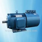 Professional manufacturer Frequency Conversion Motor