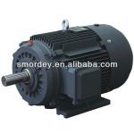 2~8 Pole SM series three phase asynchronous motor for sale