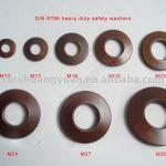 DIN 6796 spring washers