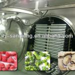 fruit and vegetable vacuum drying machines