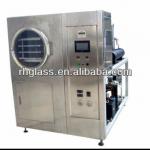 vegetables and fruit laboratory lyophilizer JDG-1