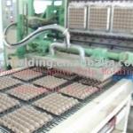 egg tray/fruit tray/bottle tray machine