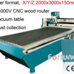 Fortuna DB3000V cnc wood carving machine